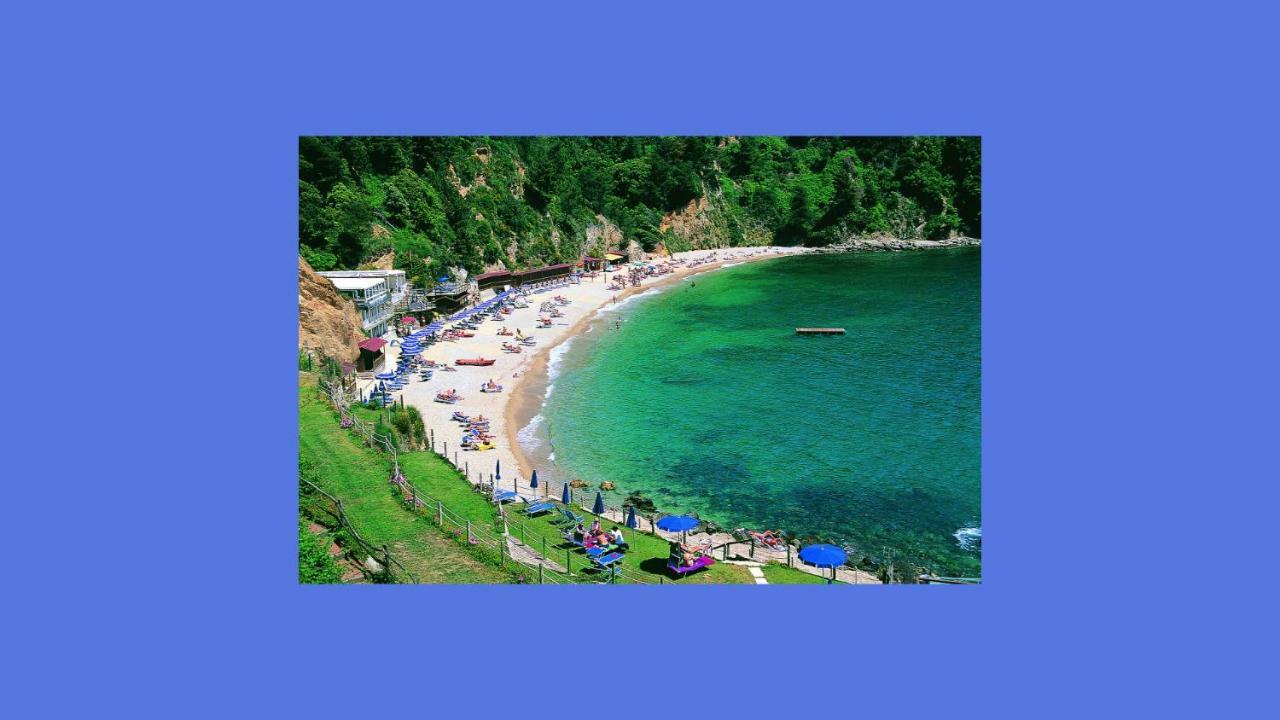 Casetta Romantica Viola Lerici